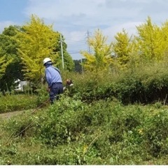草刈り大変だと思っている方お任せください。