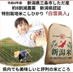 Hachig san 減農薬　新潟こしひかり玄米20kg 令和4...