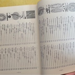 釣りの仕掛け百科　よく釣る人は、ここがちがう 　松田年雄・服部善郎　共著  の画像