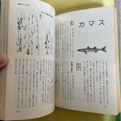 海釣り入門　実戦フィッシング・ガイド　松田年雄　著  の画像