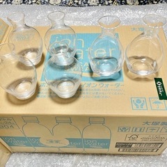 閉館した旅館の備品【冷酒用徳利2】