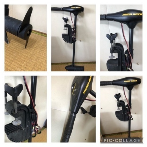 ミンコタトローリングモーターENDURA30