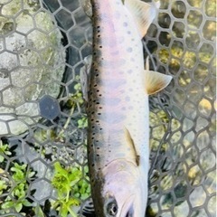 長野県の管理釣り場 − 長野県