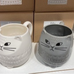 猫ちゃん大好きな方🐈