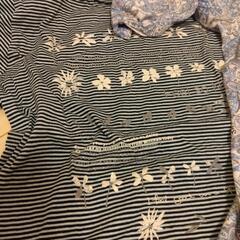 夏用Tシャツとブラウスの画像