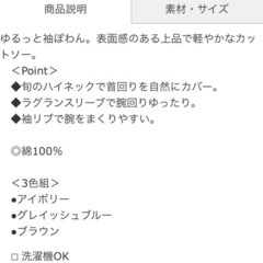 【新品未使用】ベルーナ　Lサイズ　2点の画像