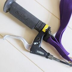 【希少珍品】高性能ブレーキ付き マウンテンボード オフロードクルーザーの画像