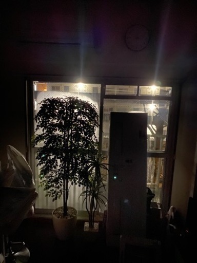 腐らない観葉植物　フェイクグリーン　185センチ大きめ