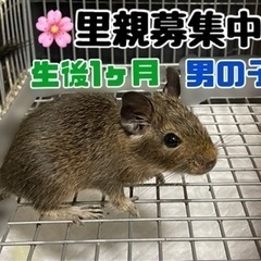 ｢里親様決定しました｣
