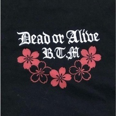 ⭐︎値下げ⭐︎《和柄》抜刀娘長袖Tシャツの画像