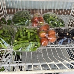 夏野菜100円★100円販売★