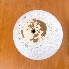 観葉植物　鉢　植え替え　10号の画像