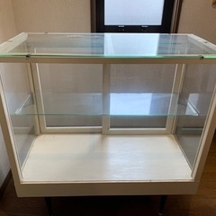 【お渡し予定者決定しました。】引取限定、日時限定　ガラスケース　...