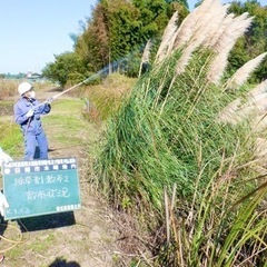 【急募】日給12,200円～18,000円☆簡単な作業‪☆経験者優遇‪☆交通費支給‪☆正社員登用あり☆熱中症対策も万全！の画像