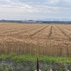 農家の方限定‼️柳川市大和町谷垣の土地