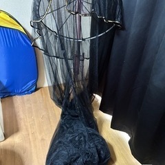 【天蓋】ゴシック風 レアな黒の天蓋【蚊帳】の画像