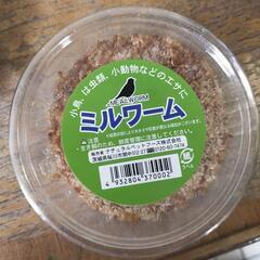 ミルワーム