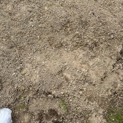 赤土 約500kg 石除去済み ※一括取引希望※