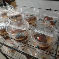 ノコギリクワガタ＊300円〜の画像