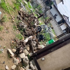 薪欲しい方　根っこもありの画像