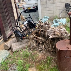 薪欲しい方　根っこもありの画像