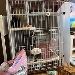 猫ゲージ無料で差し上げます
