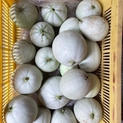 メロン　第2段　　一個100円からor 15個1000円