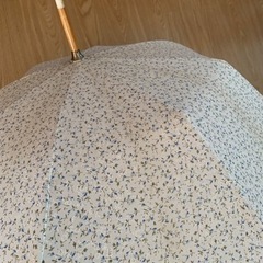 日傘の画像