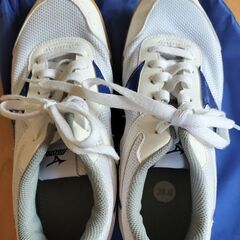 ミズノ　体育館シューズの画像