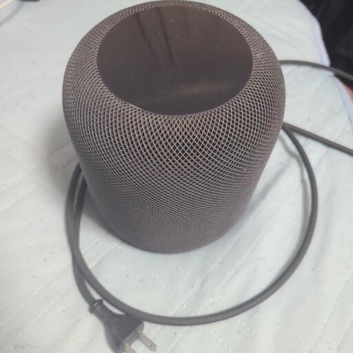 その他 Home Pod