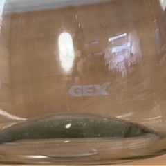 水槽（円形）【お譲り先決まりました】の画像