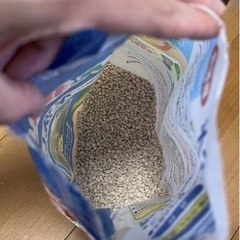砂利【お譲り先決まりました】の画像