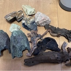 観賞魚用品【お譲り先決まりました】の画像