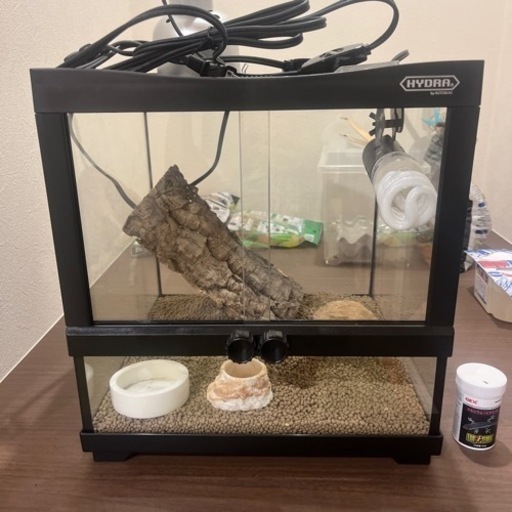 爬虫類飼育セット