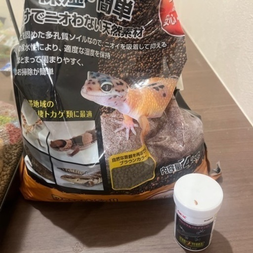 爬虫類飼育セット