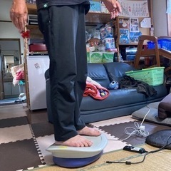 スイングマシン　ツイストの画像