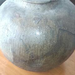 壺　中　の画像