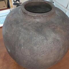 壺　中　の画像