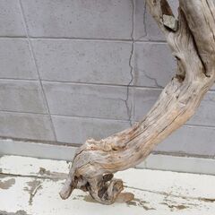 SEASIDEinterior★インテリアディスプレイに流木 Cool driftwood for decorating 132の画像