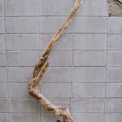 SEASIDEinterior★インテリアディスプレイに流木 C...