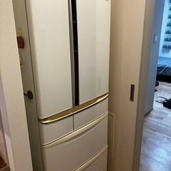 Panasonic NR-F474TM-W 2010年製冷蔵庫
