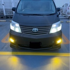 アルファードの画像