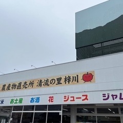 改良メダカ　販売中☘️