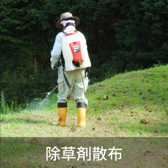 すぐ働ける！【16000円～】 除草剤散布（太陽光）【新潟県見附...