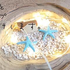 流木西海岸ローテーブル『マルホワイト』ガラス蓋付きの画像