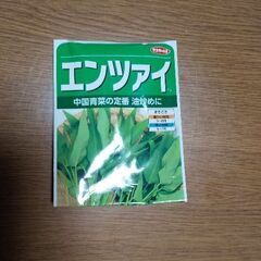 空芯菜の種