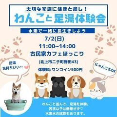 わんこと、にゃんこと水素の足湯体験