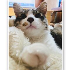 募集を一時休止します