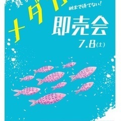 緊急企画‼️真夏のメダカ即売会‼️