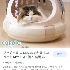 キャリーバッグ　猫や小型犬に最適の画像